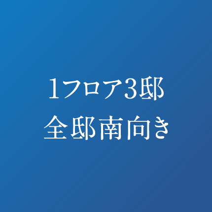 1フロア3邸 全邸南向き