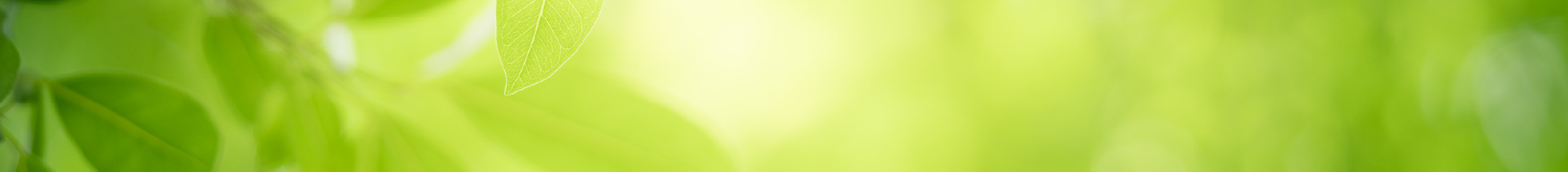 image photo