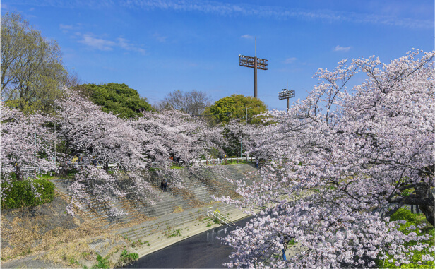 さくらの名所100選に選定。日本が誇る名古屋の桜の名所。