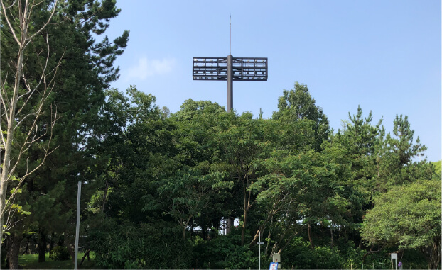 2026年リニューアルオープン。スポーツ施設が充実した大型公園。