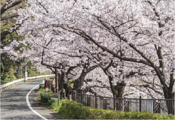 山崎川 徒歩８分（約640m）
