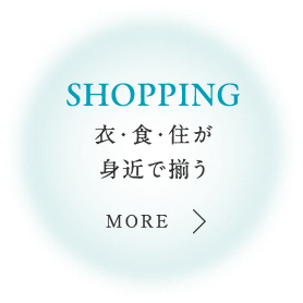 SHOPPING 衣・食・住が揃うショッピングゾーンが身近に。
