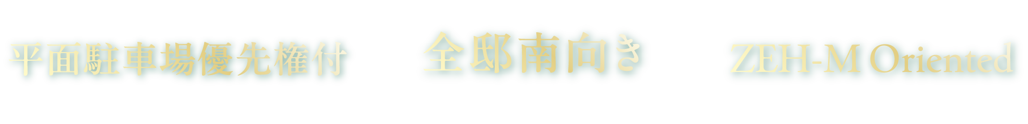 2LDK・3LDK 平面駐車場優先権付〈台数限定〉※諸条件あり 全邸南向き 南側は住宅地 次世代型 省エネマンションZEH-M Oriented〈ゼッチ〉
