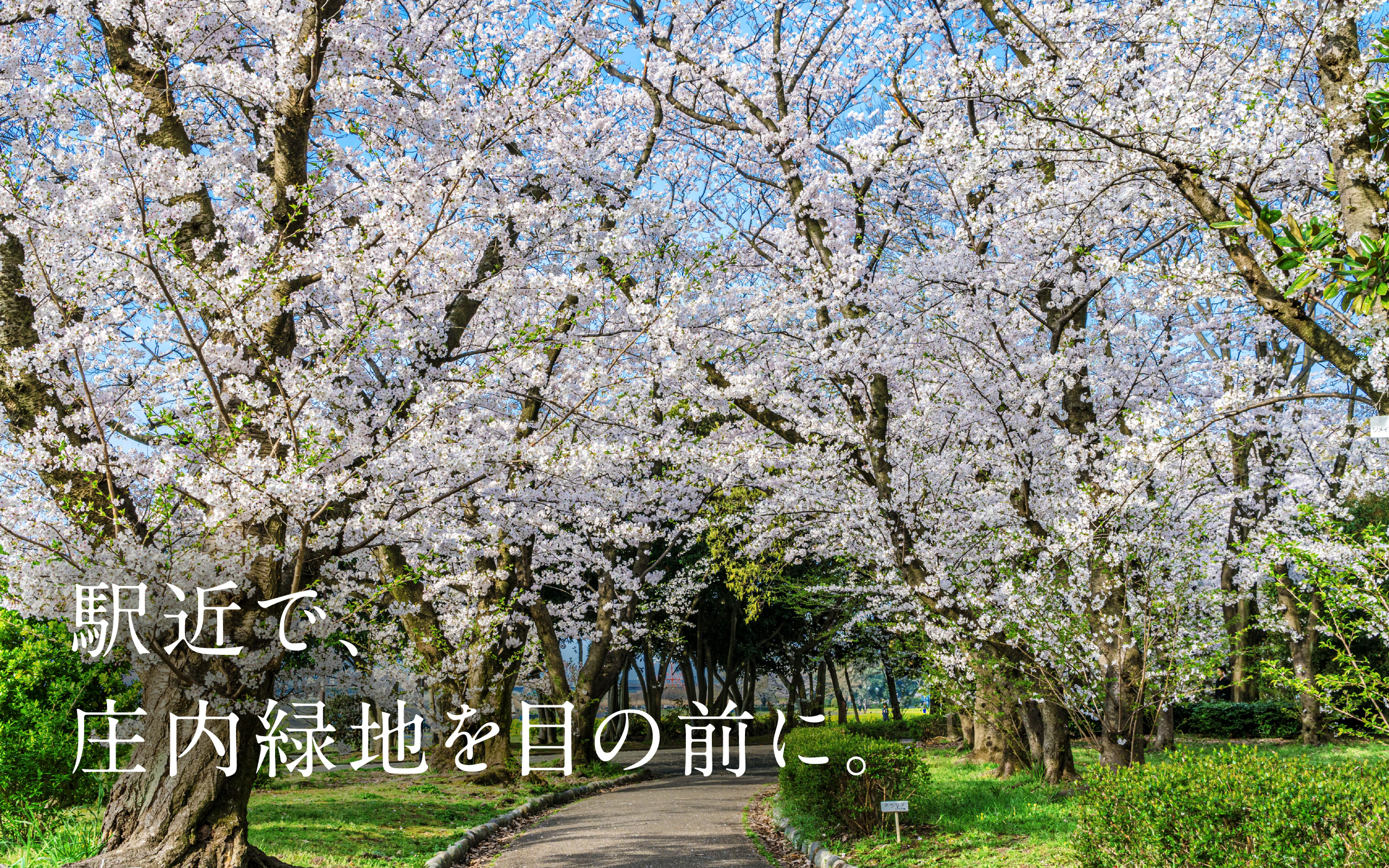駅近で、庄内緑地を眼の前に。