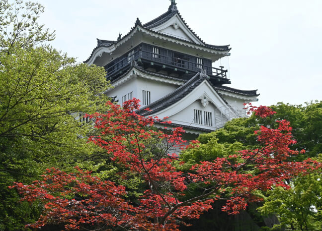 東岡崎