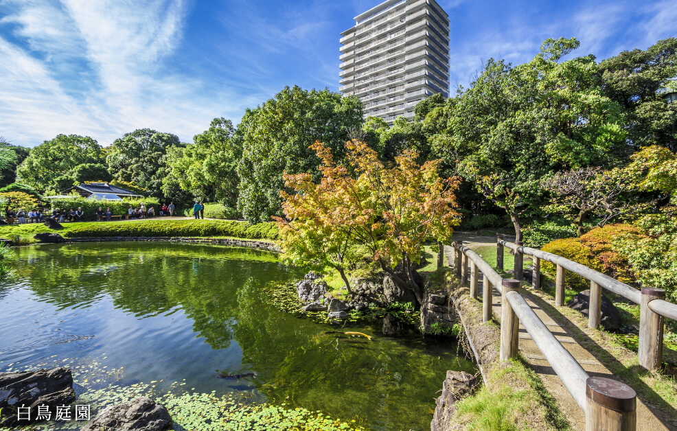 白鳥庭園