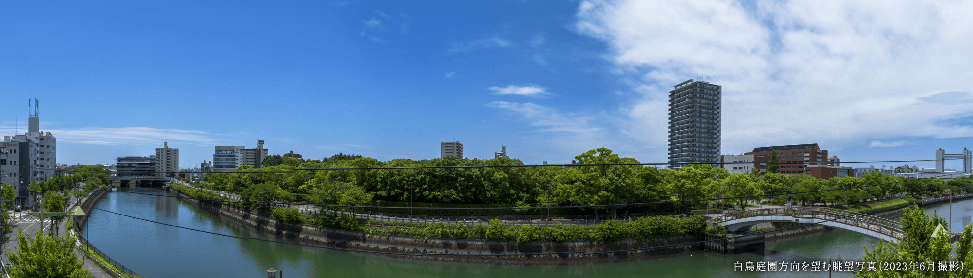 白鳥庭園方向を望む眺望写真(2023年6月撮影)